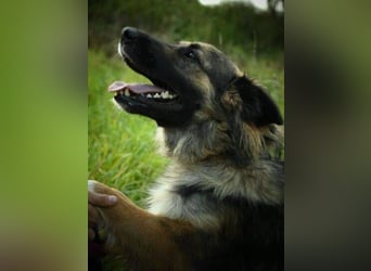 BABORKA hätte so gerne eine eigene Familie BABORKA hätte so gerne eine eigene Familie