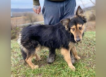 ELZA sucht ihre Familie