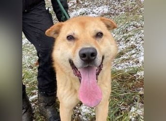 AKIM wartet auf Dich AKIM wartet auf Dich