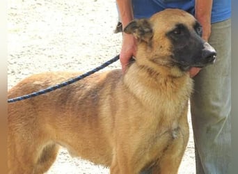 IKE ist ein unkomplizierter Strahlemann