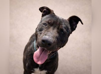 SUNNY sucht seine Menschen