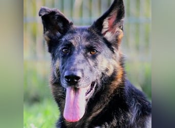 Donna, schön und sehr lieb