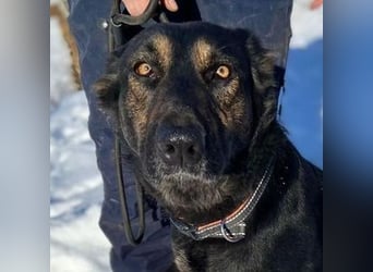 LUNA 2 wäre so gerne Familienmitglied