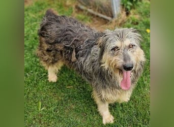 MAYA ist einfach zauberhaft