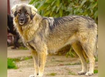 EMMA ist wunderschön