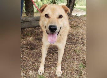 AKIM wartet auf Dich AKIM wartet auf Dich