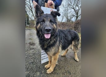 ZEUS durfte nie ankommen