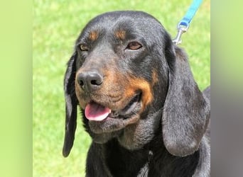 LENA sucht ihre Familie