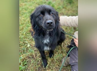 FABIO wäre gerne dein Freund