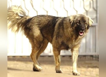 EMMA ist wunderschön