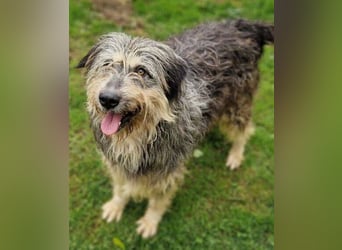 MAYA ist einfach zauberhaft