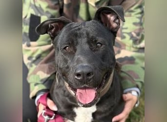 SUNNY sucht seine Menschen