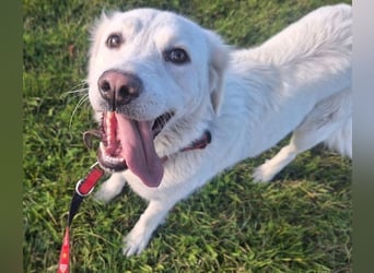 LUCY freut sich über jede Zuwendung