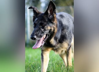 Donna, schön und sehr lieb