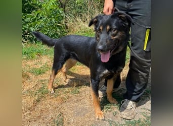 LUNA 2 wäre so gerne Familienmitglied