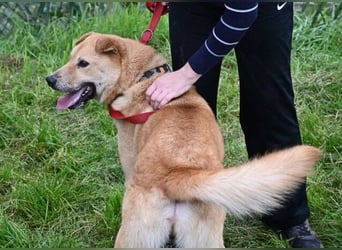 AKIM wartet auf Dich AKIM wartet auf Dich