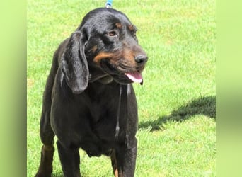 LENA sucht ihre Familie