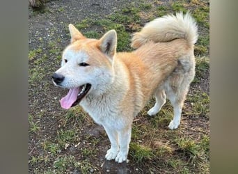 BUBO ist ein Strahlemann