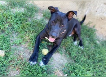 SUNNY sucht seine Menschen