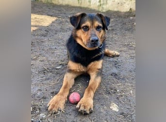 ZEUS wurde im Stich gelassen