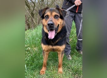 ZEUS wurde im Stich gelassen