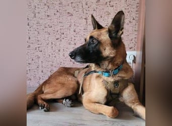 IKE ist ein unkomplizierter Strahlemann