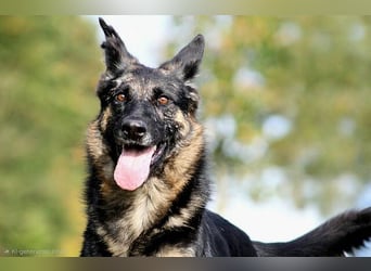 Donna, schön und sehr lieb