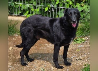 KARAM ist super lieb