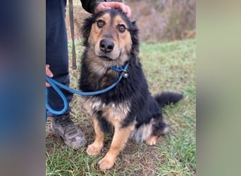 ELZA sucht ihre Familie