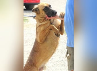 IKE ist ein unkomplizierter Strahlemann