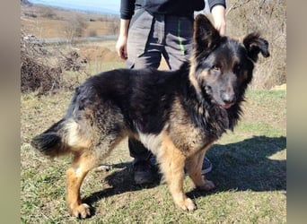 ZEUS durfte nie ankommen