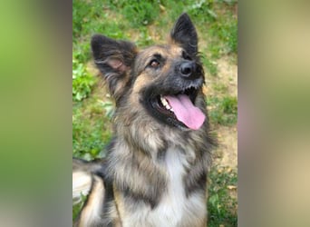 BABORKA hätte so gerne eine eigene Familie