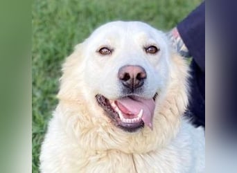 LUCY freut sich über jede Zuwendung