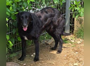 KARAM ist super lieb