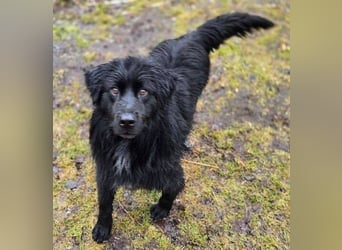 FABIO wäre gerne dein Freund