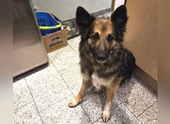 BABORKA hätte so gerne eine eigene Familie