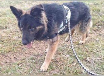 ZEUS durfte nie ankommen