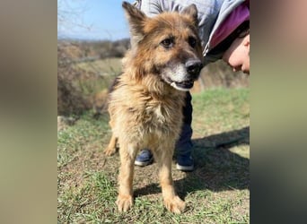 SHIRA hat endlich Liebe verdient