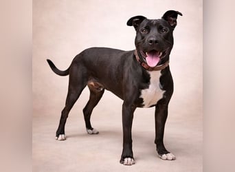 SUNNY sucht seine Menschen