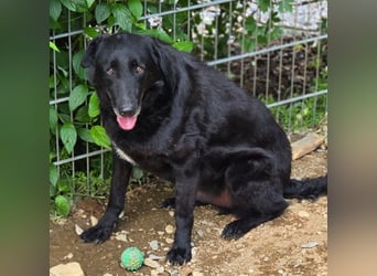 KARAM ist super lieb