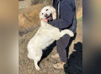 LUCY freut sich über jede Zuwendung