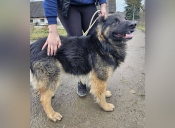 ZEUS durfte nie ankommen