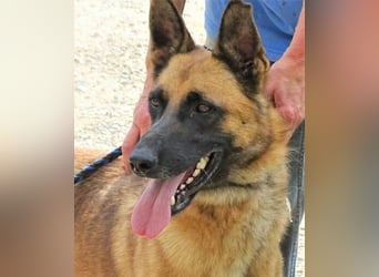 IKE ist ein unkomplizierter Strahlemann