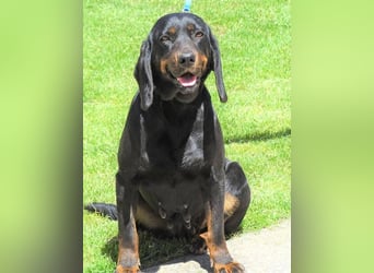 LENA sucht ihre Familie