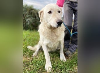 ZUZA  ist traurig, wer tröstet sie?