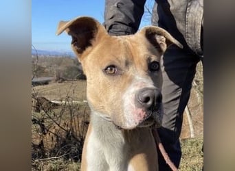 DORIAN sehnt sich nach einem Zuhause