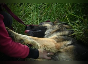 BABORKA hätte so gerne eine eigene Familie
