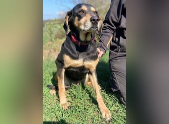 PEPI hat alles verloren