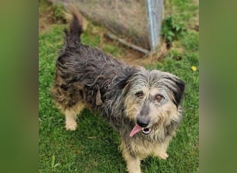 MAYA ist einfach zauberhaft