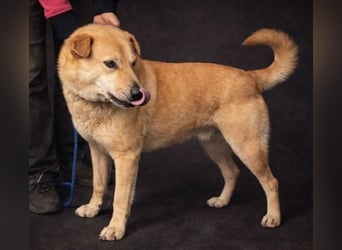 AKIM wartet auf Dich